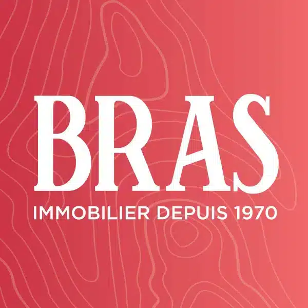 logo bras immobilier