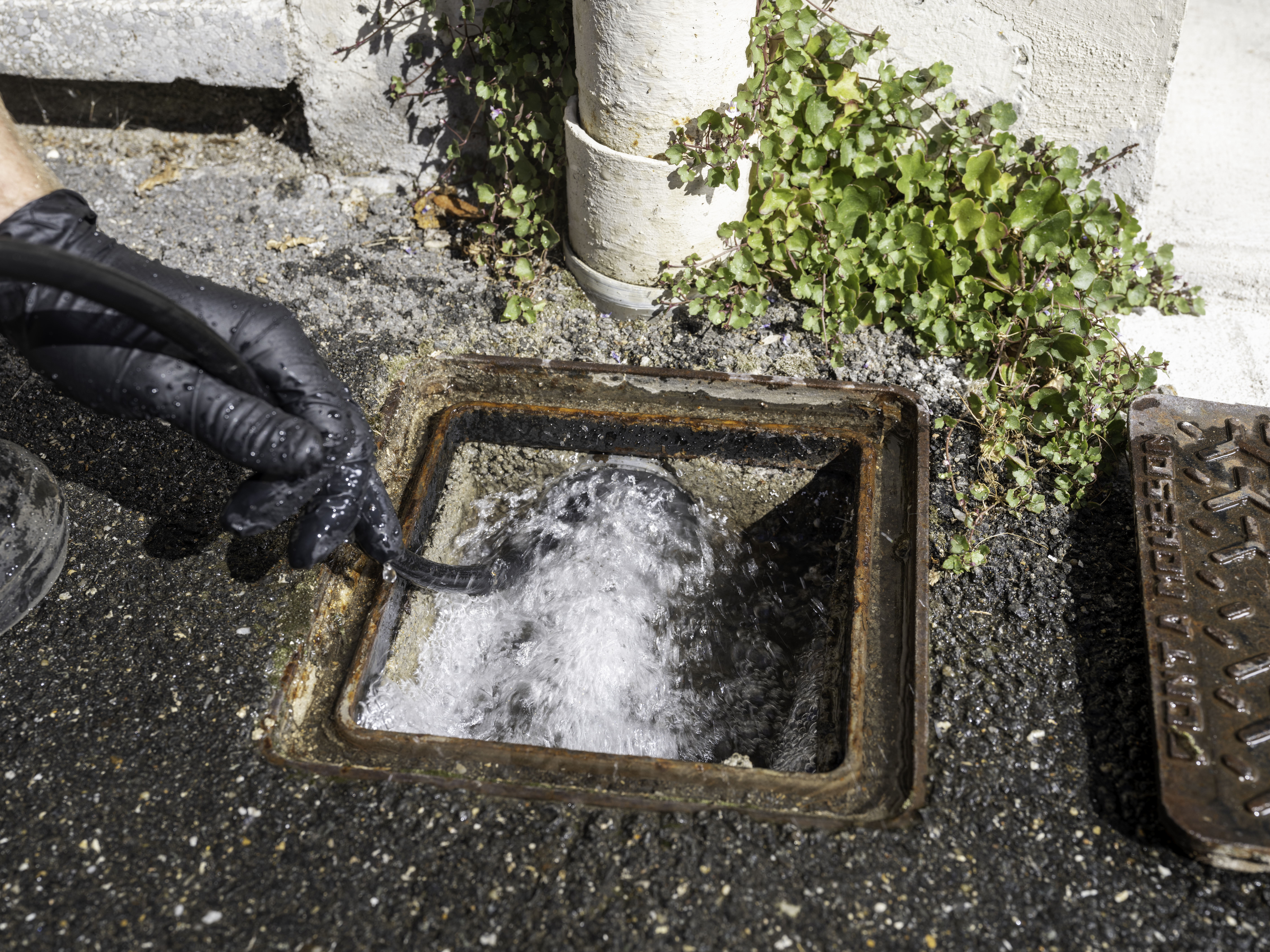 photo de l'entreprise les déboucheurs nantais