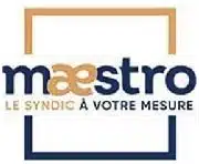 logo maestro